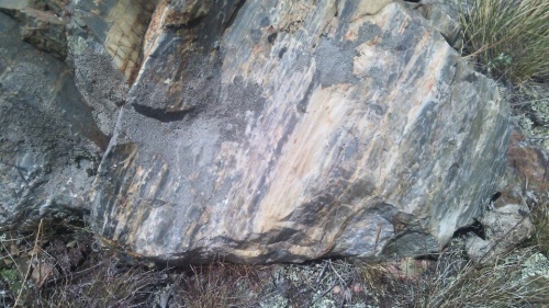 Гигантские зелёные валуны для ландшафтного дизайна весом более 5 тонн купить в Старой Купавне